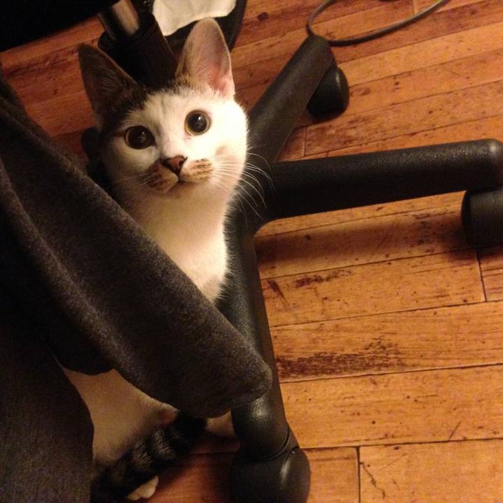 0e625010 bf99 4b6e 9630 1203e5b0f426