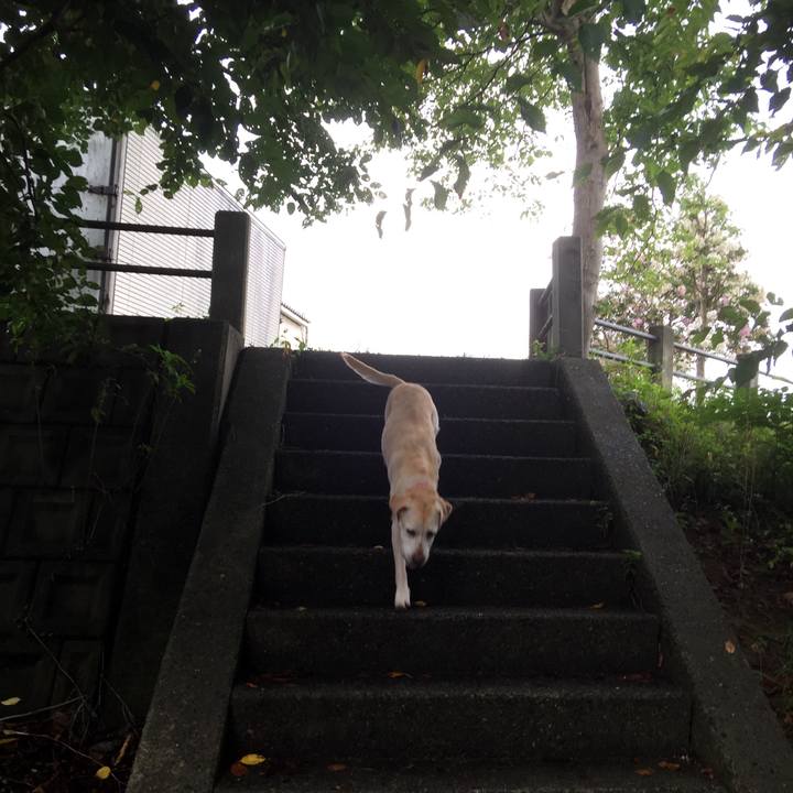 0e628f9c 1878 4b1e ad61 ace3b3a94c4c