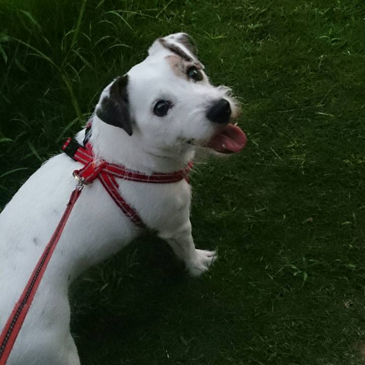 0e62cd18 045f 4dfe 874b 8be92b1c253b