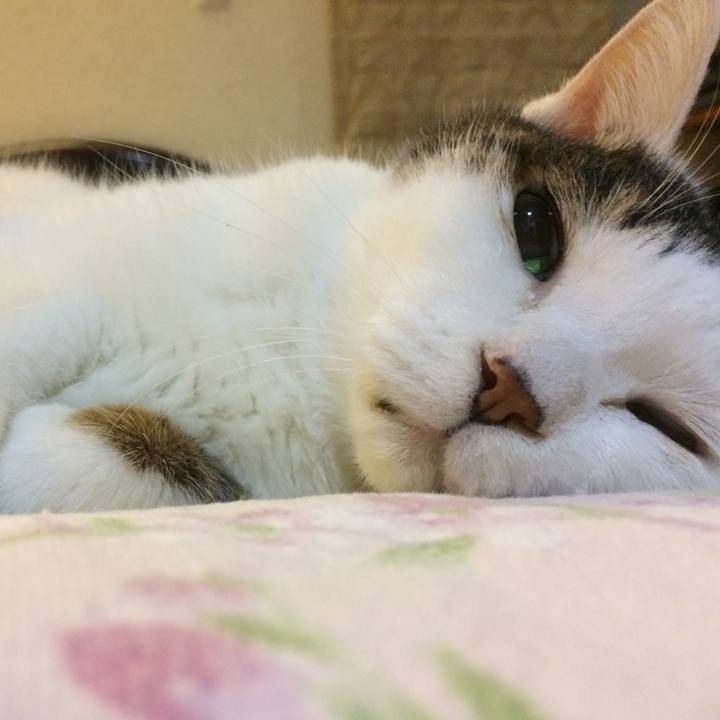 0e63002d 9227 4ba5 ae96 5d3fb17ae646