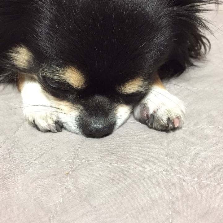 0e63ffe3 d462 42d0 ad66 4dd83ed0e747