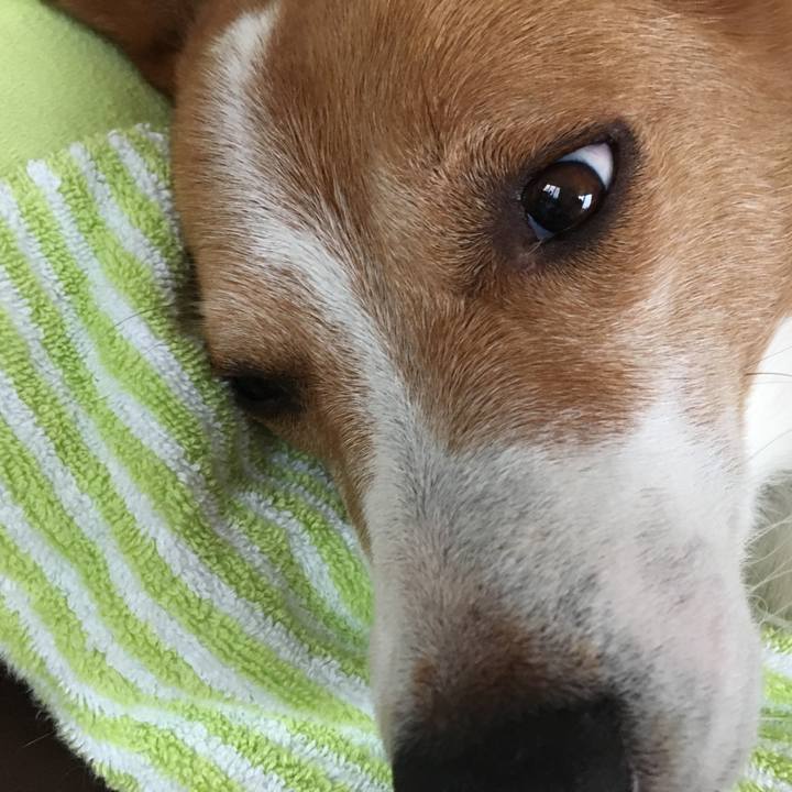 0e64ad34 4064 47f0 b611 bb1b00a1bfcb