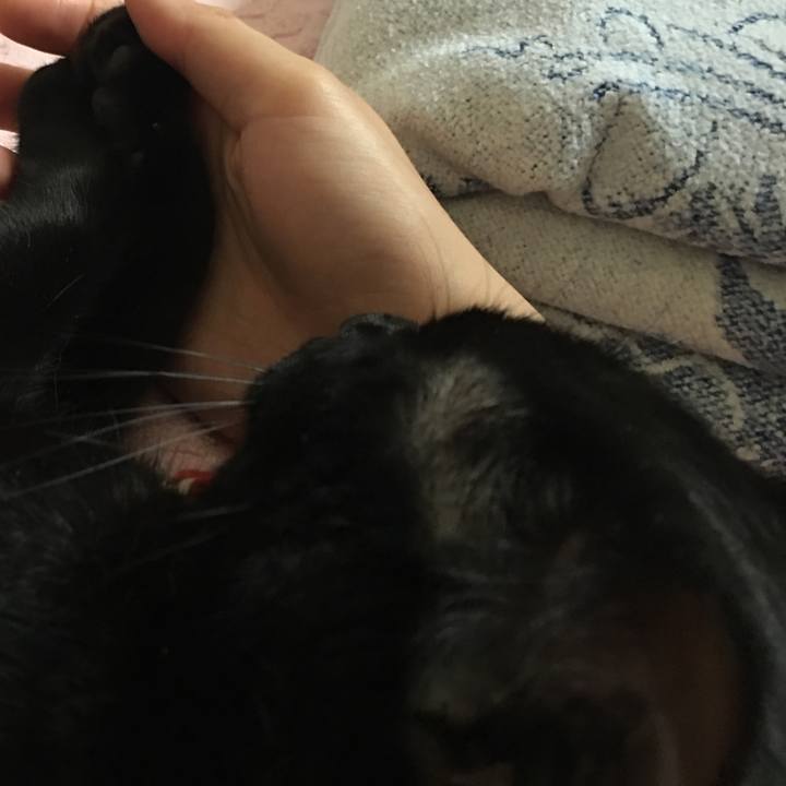 0e64c91f d305 433c bc01 82012fc178a9