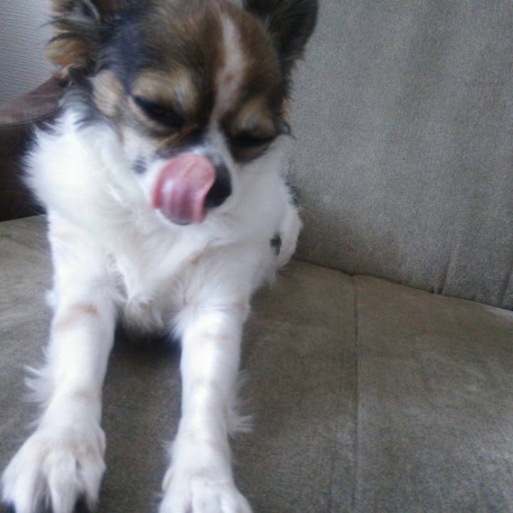 0e6539fc 5d58 4813 acbb 258943ee4784