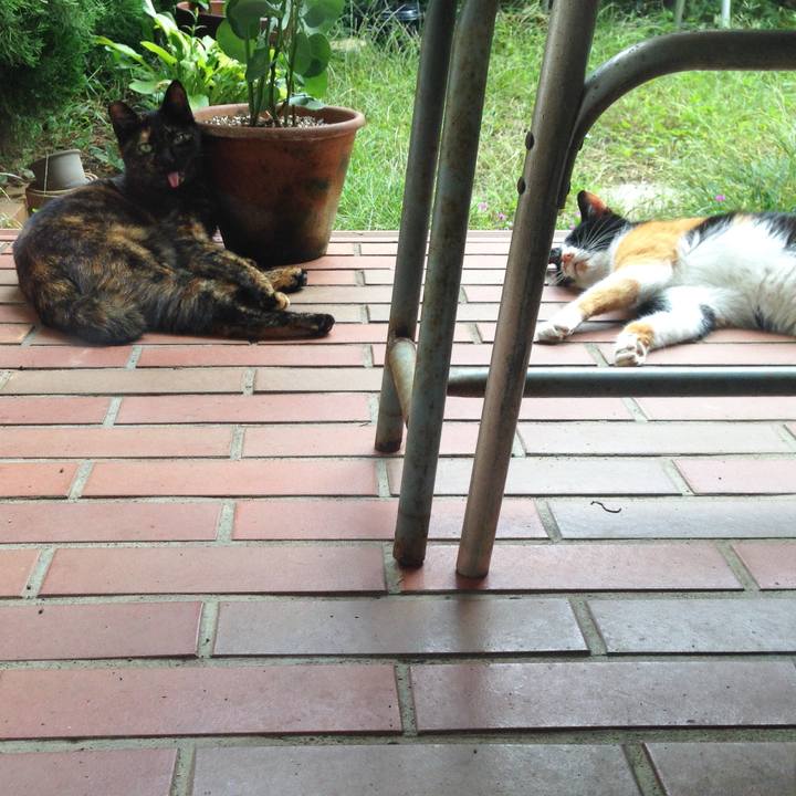 0e65766a 97c6 44bb a984 eae4d724d0fe