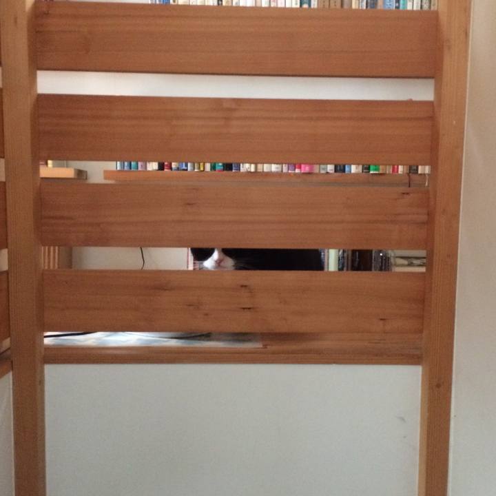 0e65e0cd 8a23 4672 872e dfb1a17f6779