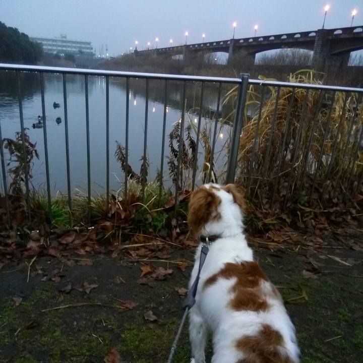 0e662279 3545 40d6 8fb3 2914a4b450a2