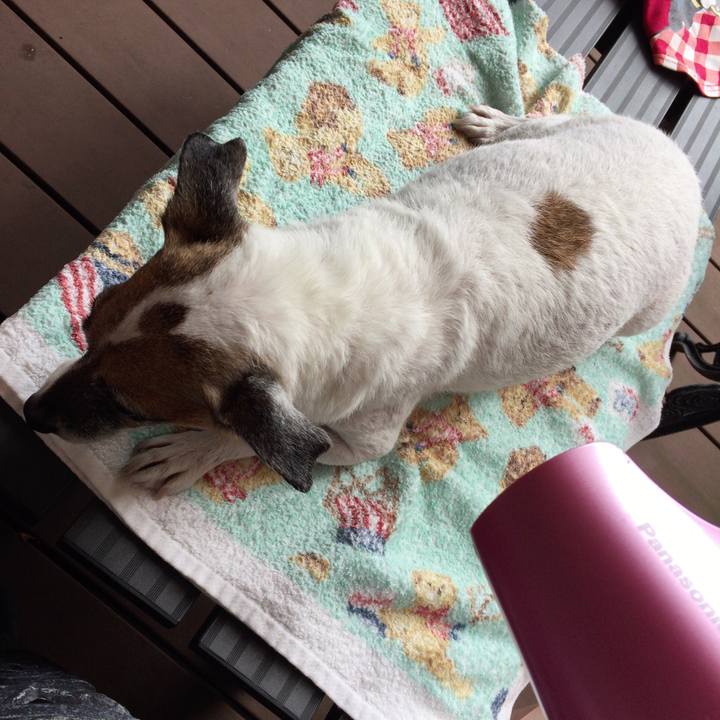 0e6671d7 cb5f 484a b867 51caba46500e