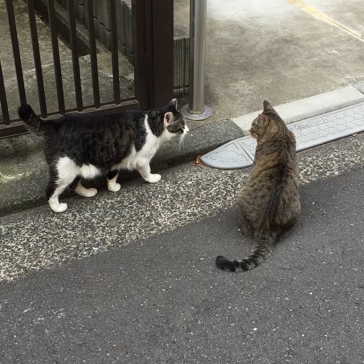 0e67a69f 4936 44f2 96a4 aa930d68e376