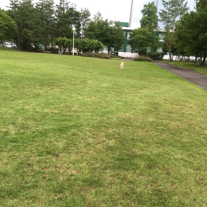 0e69119b 4851 4f70 9265 6dc652443194