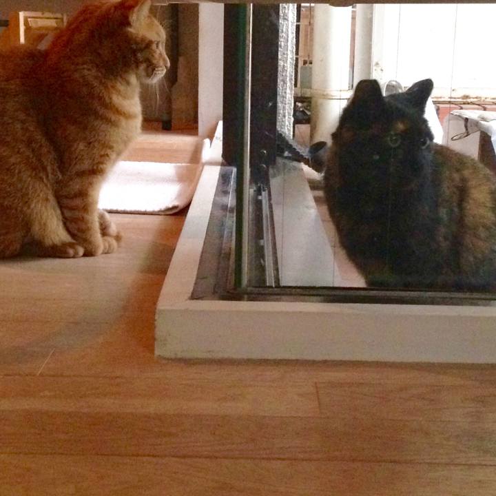 0e693a5a 3896 4357 a8d1 6d9017925564