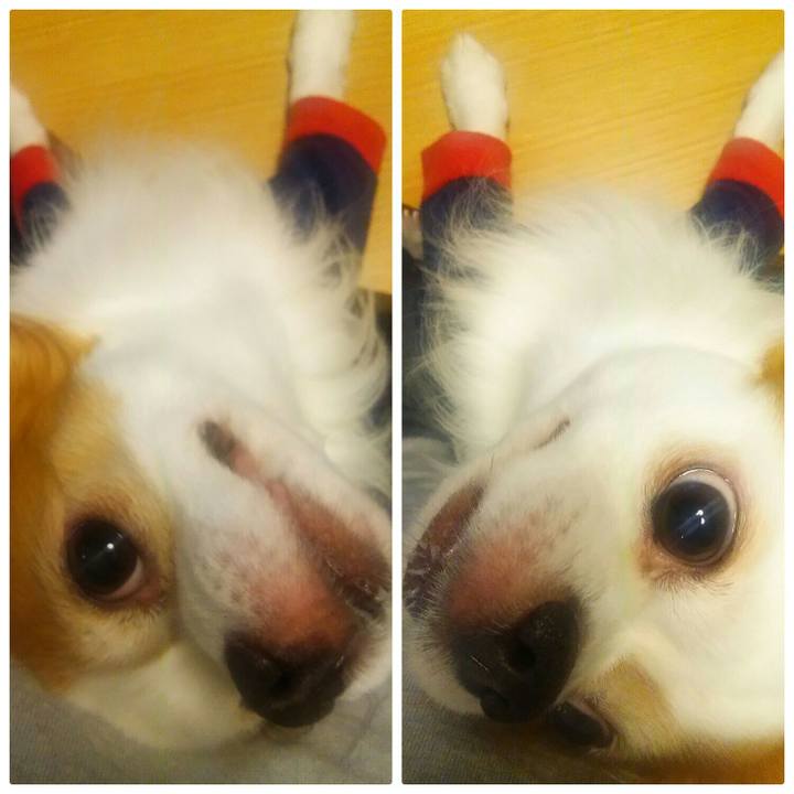 0e697c4c 4397 49de 8456 3102651590dc