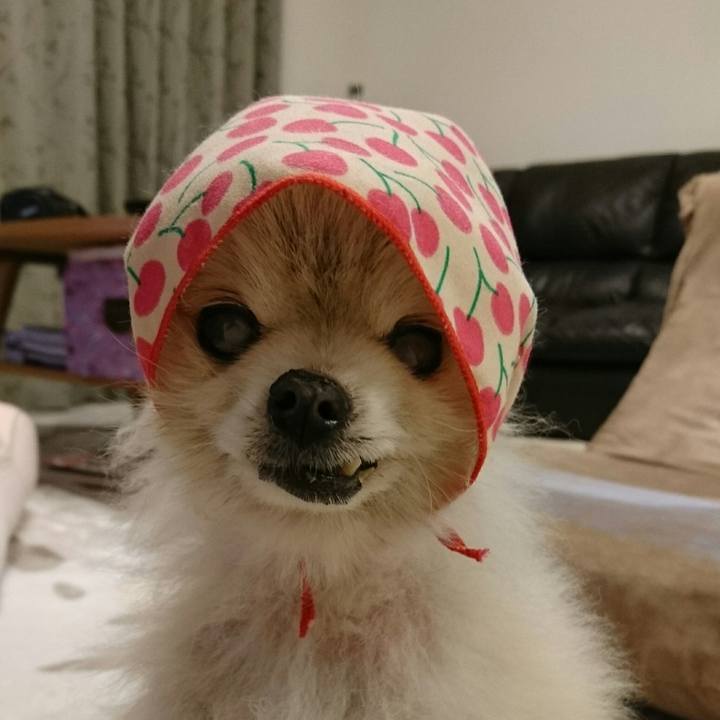 0e6a53f4 5649 4983 97fb 04a4df3c5174