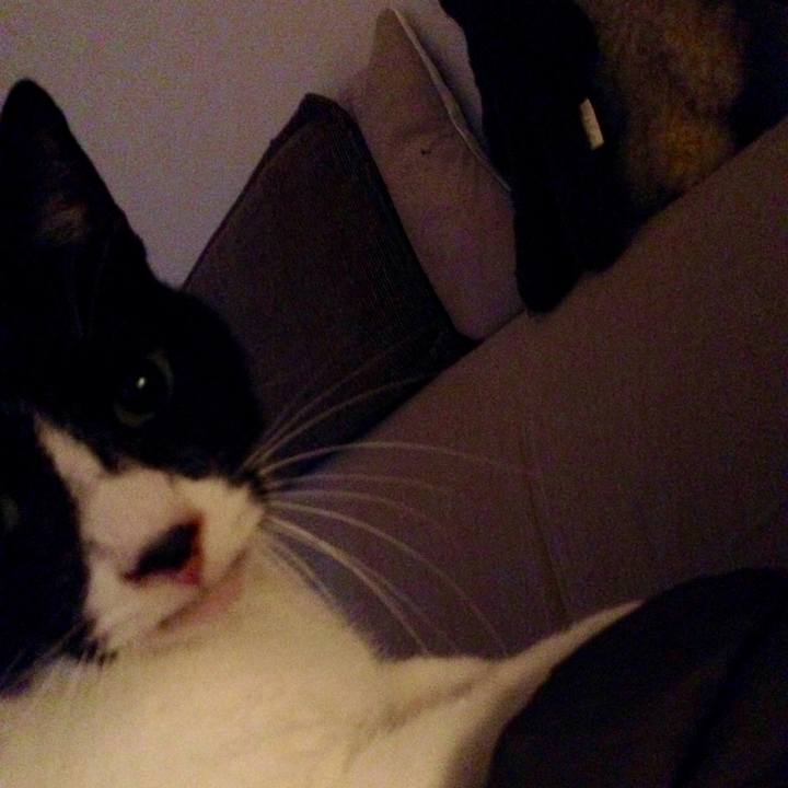 0e6acee6 af1b 45a8 a6eb a433ce5daf08