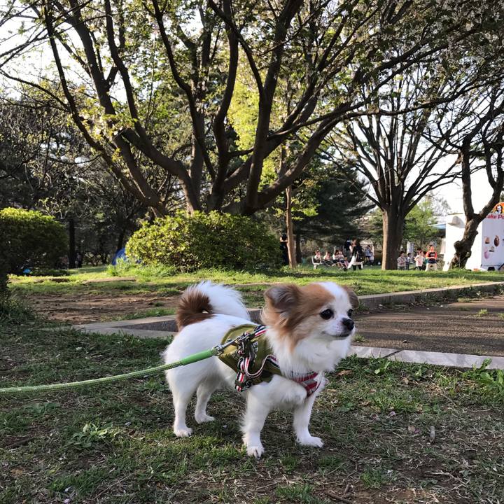 0e6b3ed8 665c 4158 8f42 77637fd2da84