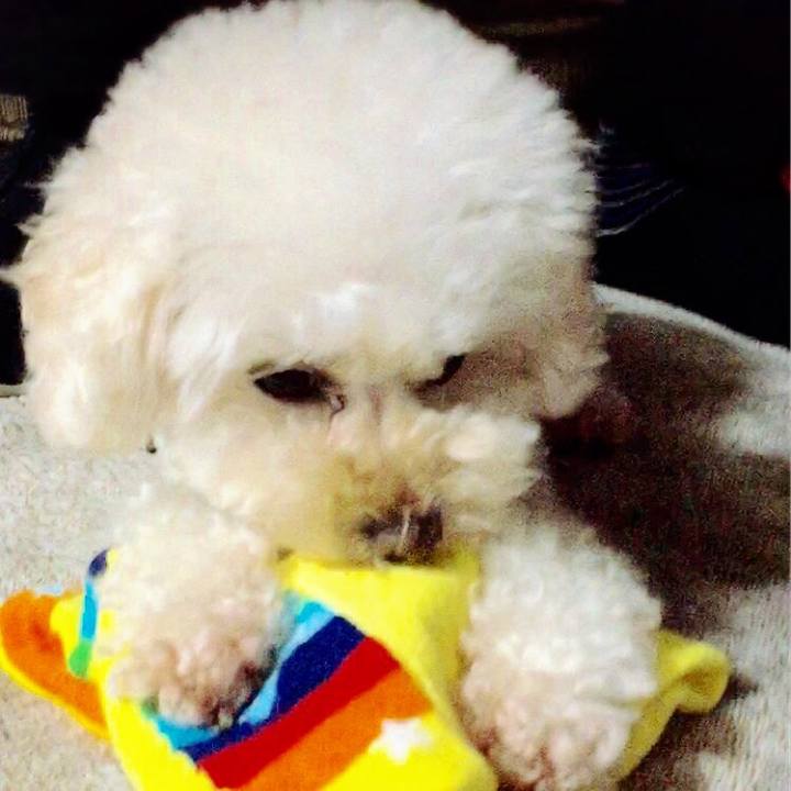 0e6c8381 69d9 4b19 a911 5c2f414360aa