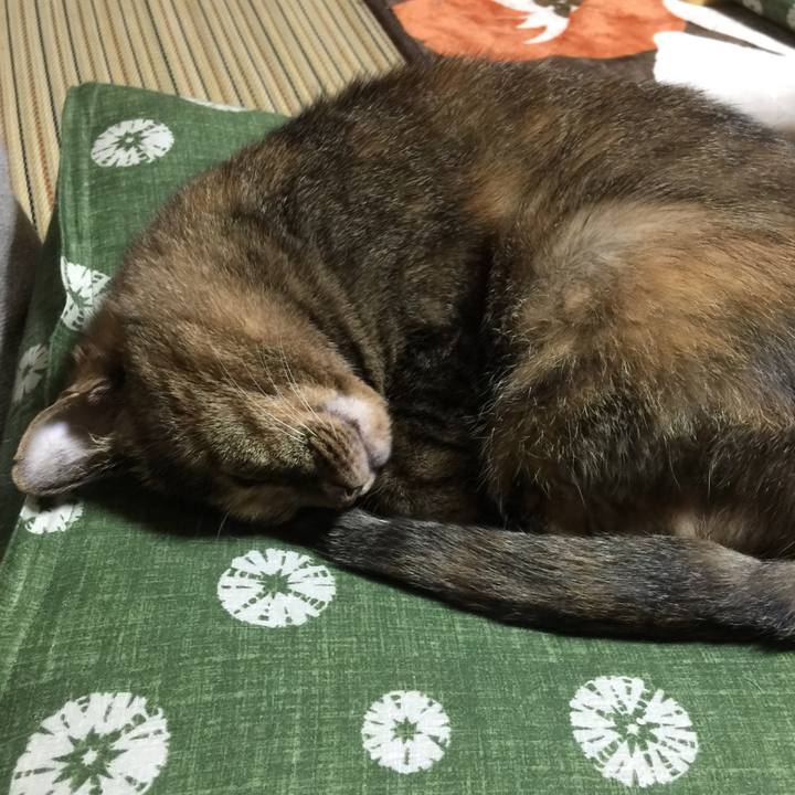 0e6d3cff e359 4950 b0af 550198823731