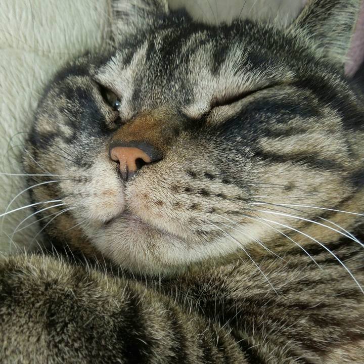 0e6d50e2 cb17 43be bf4d b8c7abab345e