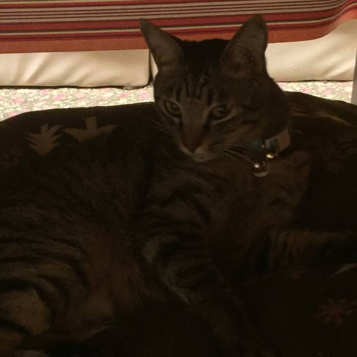 0e6d929d fee3 4483 be96 a4f4ab37f67a