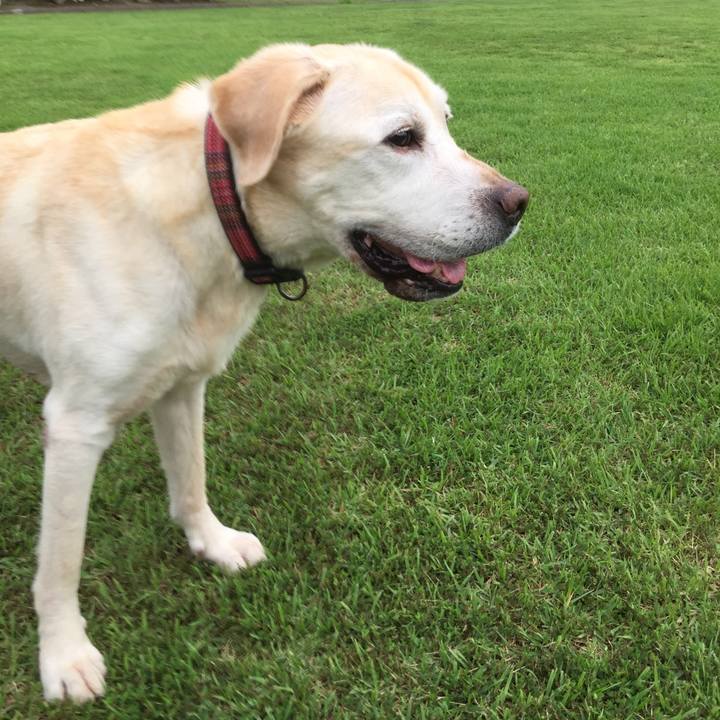 0e6e8ea9 e8ff 44cd 9c33 6418a689624d