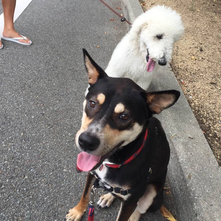 0e6ee69b dd35 46f7 8afd 5d64a7026bcf