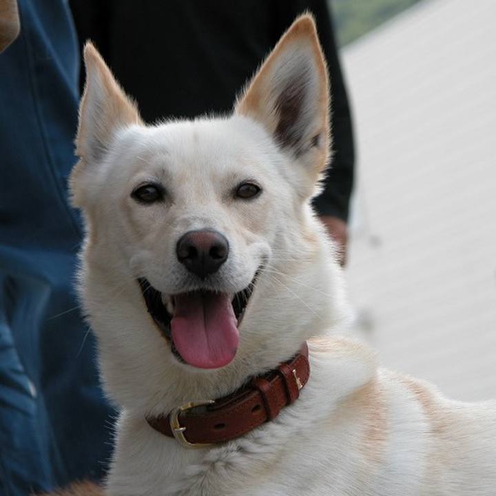 0e6eebfd 6bcc 42d2 9c63 b7b599aecd31