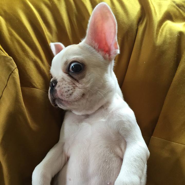 0e6f0c09 7644 4961 9a6c c15c76c4a4ec