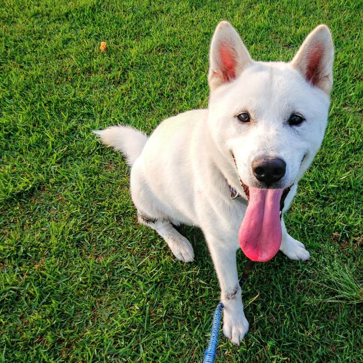 0e6f1add 719a 404f a49c b2fcb6890fc9