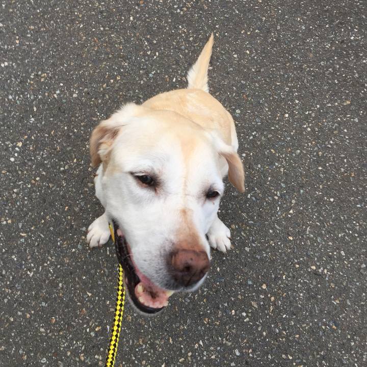 0e6f958d 7d64 4738 8d35 6f92d9befb38