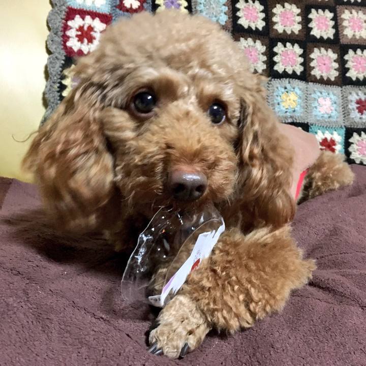 0e7004de a96d 498d b177 519114b588a7