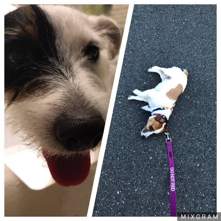 0e7027fc 6050 4d63 b6d9 2c6d495c8d08