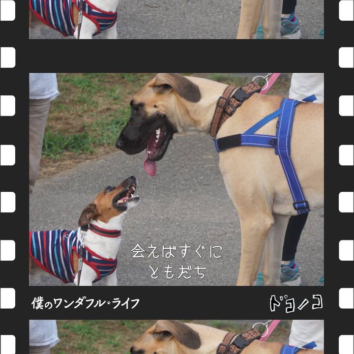 0e70c545 df66 4cd5 8cdf debc1109c930