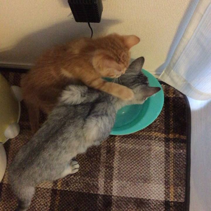 0e71201c 7f97 4a18 81fc 7672fb1cfdf6