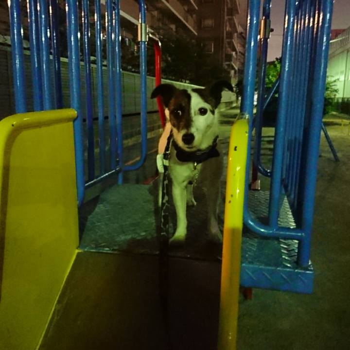 0e721074 6d9f 4495 a1bd fa0d380a1385