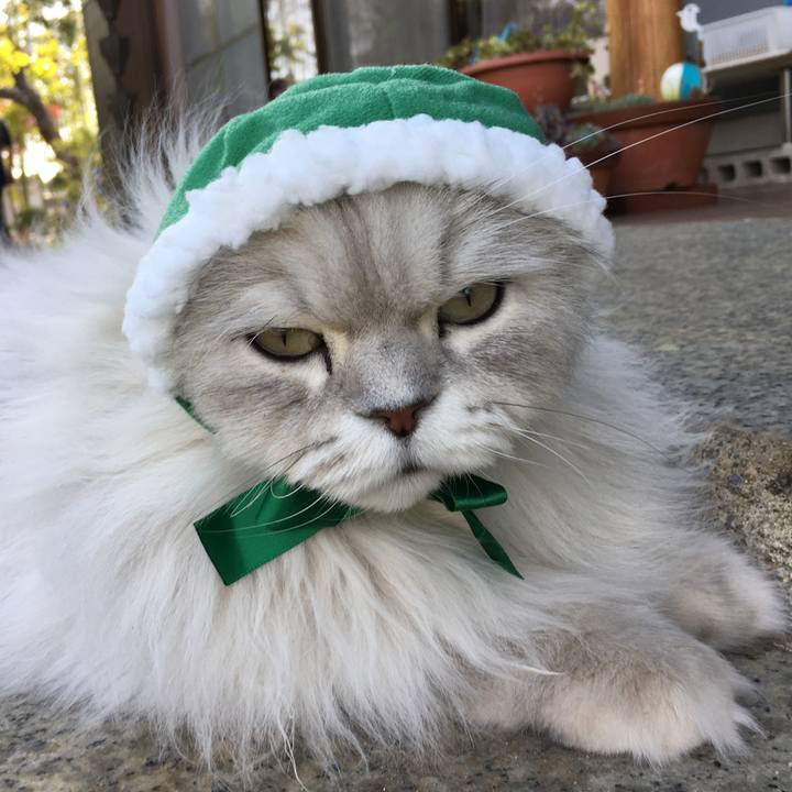 0e723f8b c8f5 4396 b74b 9f3c36e5a001