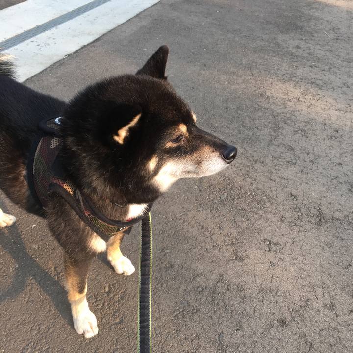 0e728da2 b4d9 40fe 8e6c 8b879a0cda8f