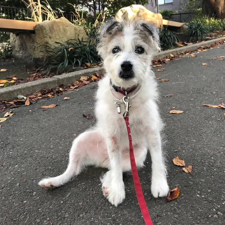 0e72d8e8 cdc0 4d38 ac10 0db94d49f9fd