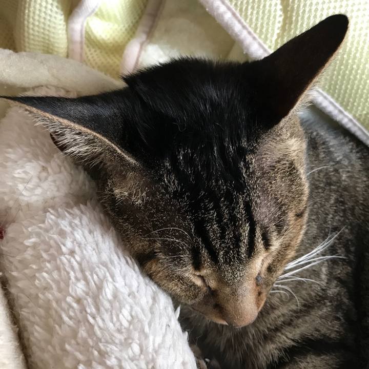 0e734272 cce9 4938 9e70 9fbeddacbdce