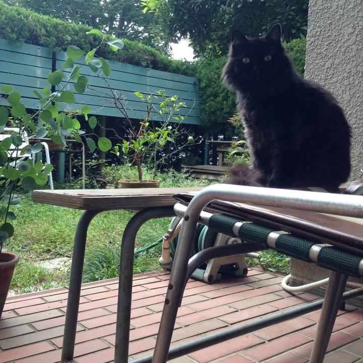 0e742b92 8a9c 439a 9bda 60f8b7f6470e