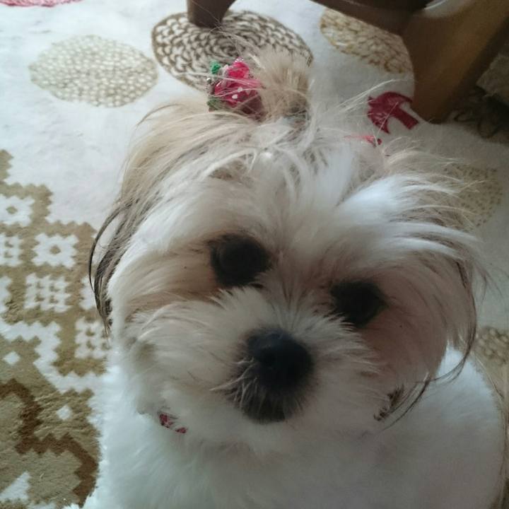 0e744a33 aa1b 4aa9 96b4 bc2b3193b6fe