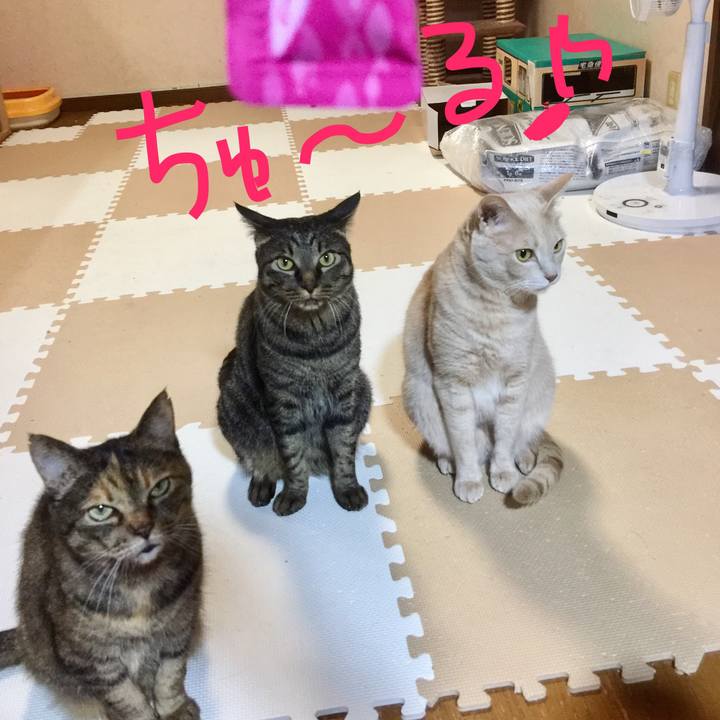 0e745a25 d944 4ec2 86dd 29b053b79750