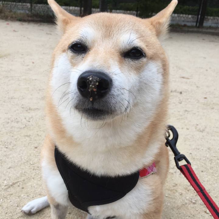 0e749599 4a51 4f53 b540 d897a175bd67