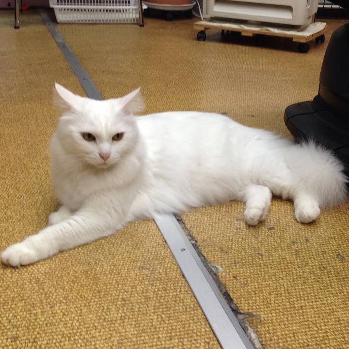 0e749be3 1220 47a5 ad78 12c0dee43222