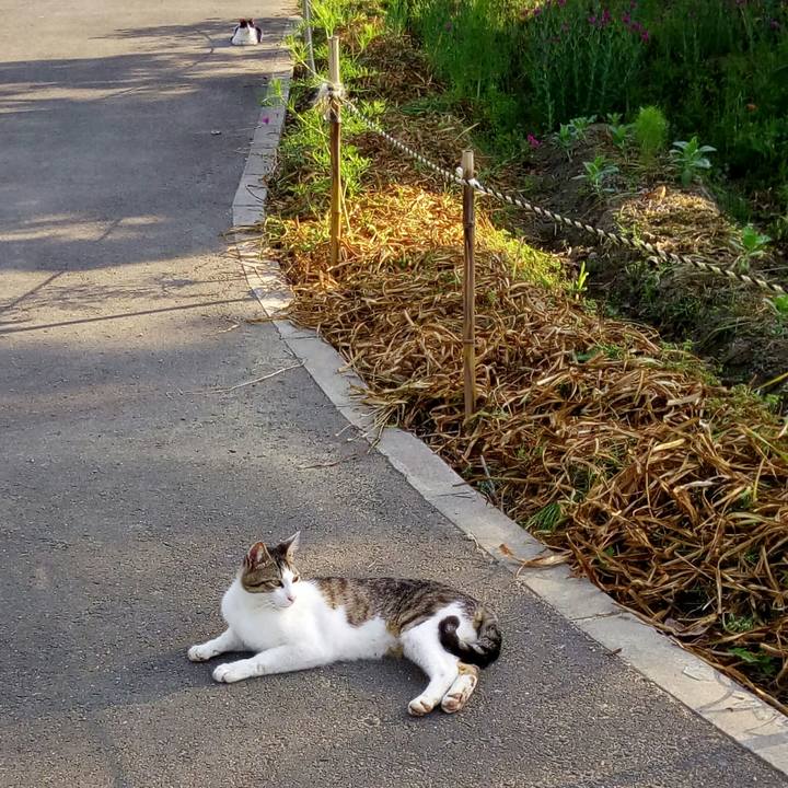 0e74a680 e4ce 40f2 8cb1 131301ffda8e