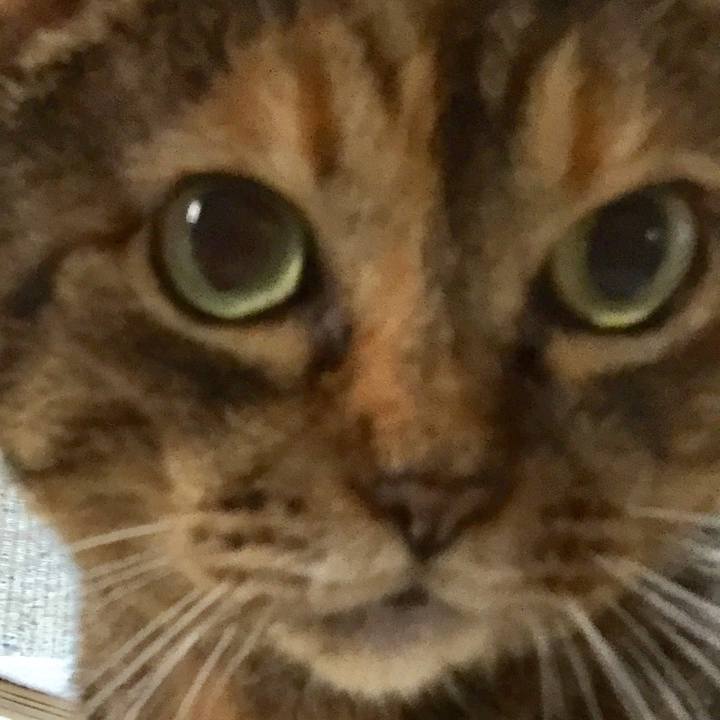 0e74bec8 a0da 489e aab6 93978aed7fa3