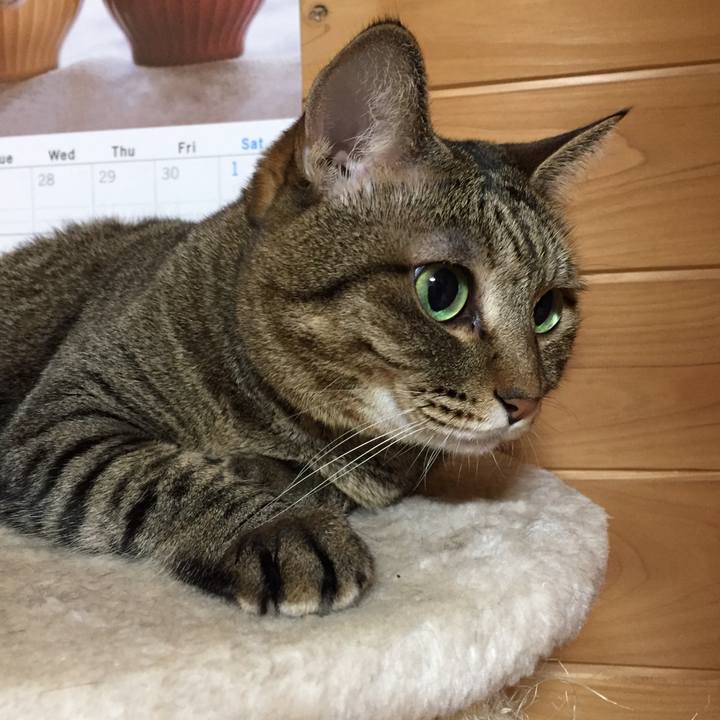 0e754045 25cd 432f aec1 8deb206a729b