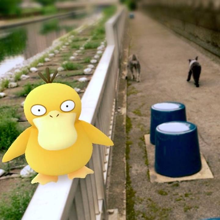 0e75893d 5044 4ff9 b77d 076427ea4adf