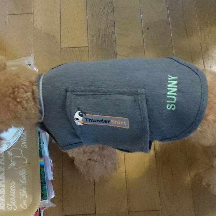 0e761159 995a 4d24 ac90 40154eade79a