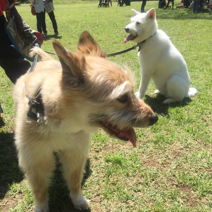 0e767682 21a1 496d 9808 f53f5cfca232