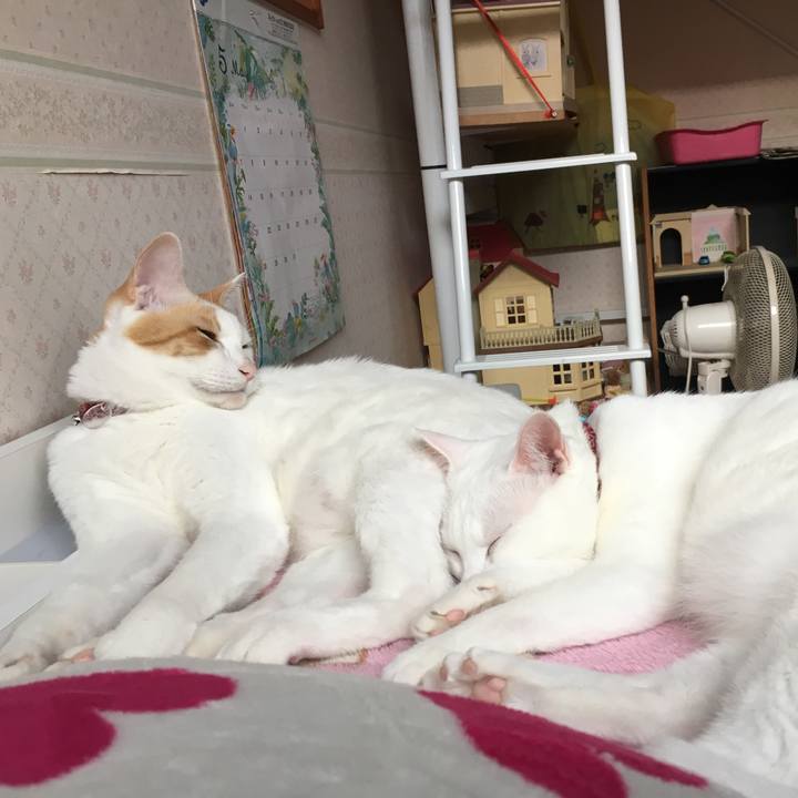 0e76b64c 994a 4862 aa59 ecd47b48dc0a